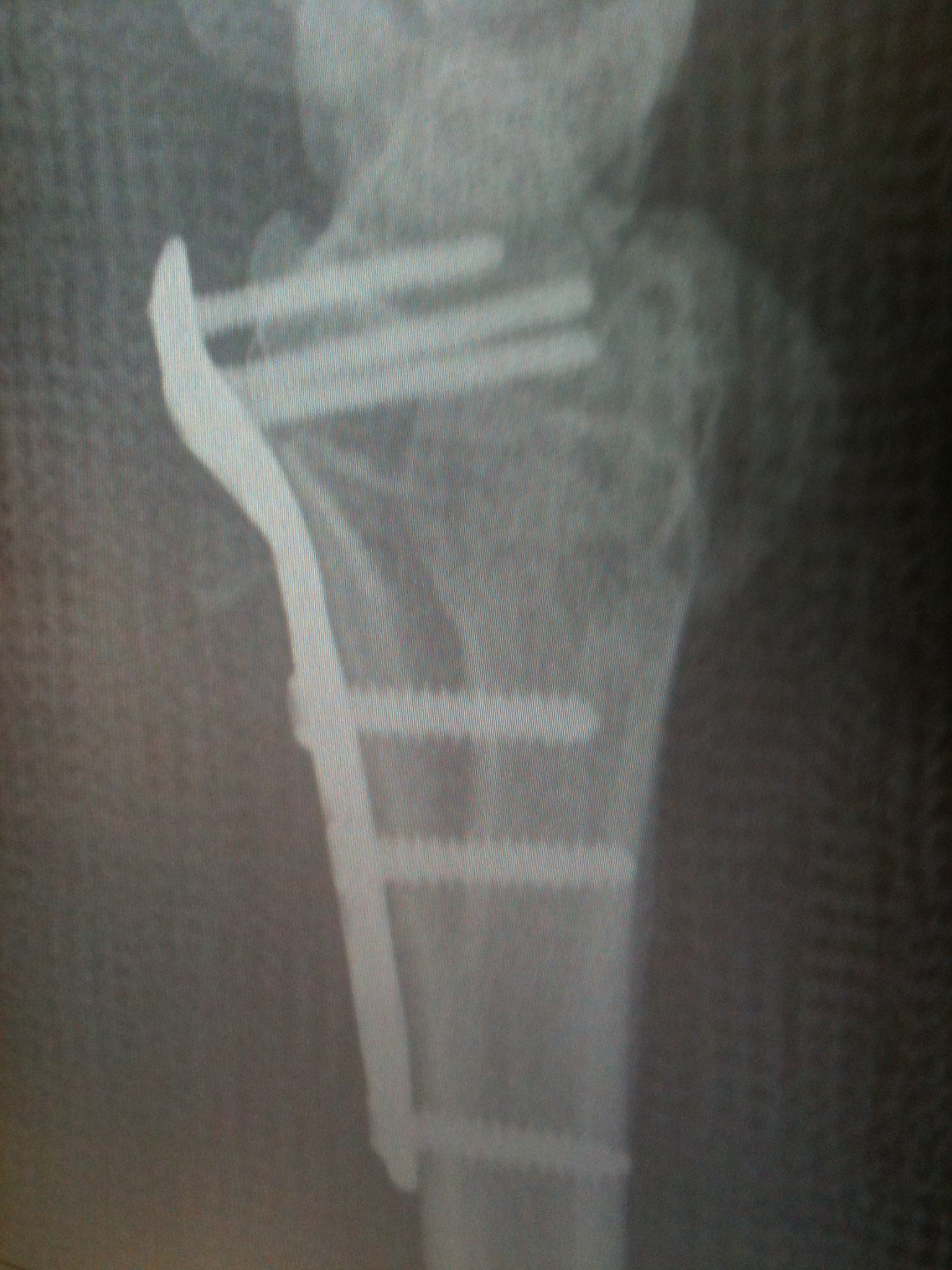 301 Moved Permanently