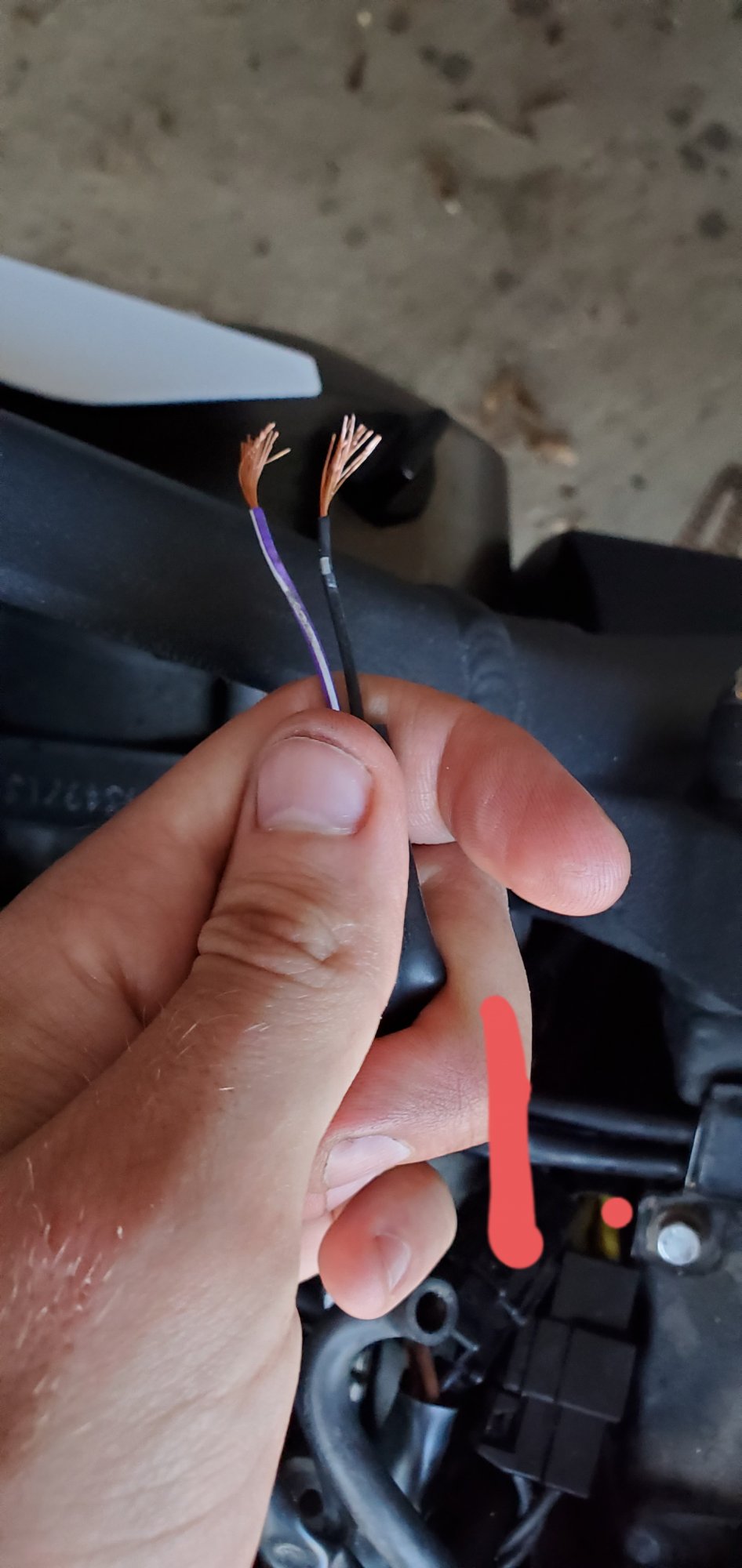 2008 Daytona 675 fuel pump connectors | 675.cc • Triumph 675 Forum