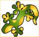 geko